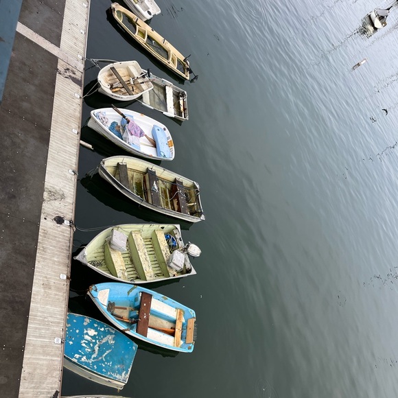 Meet your Posher, Janelle - Picture 12 of 15